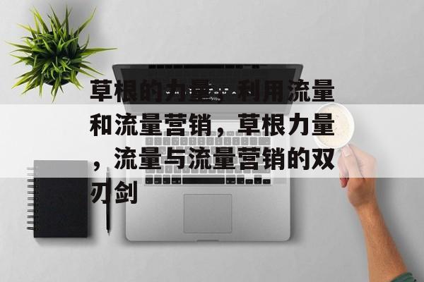 草根的力量,利用流量和流量营销,草根力量,流量与流量营销的双刃剑 草根的力量,利用流量和流量营销,草根力量,流量与流量营销的双刃剑