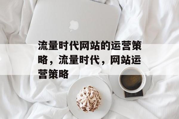 流量时代网站的运营策略,流量时代,网站运营策略 流量时代网站的运营策略,流量时代,网站运营策略