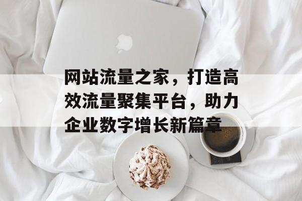 网站流量之家，打造高效流量聚集平台，助力企业数字增长新篇章