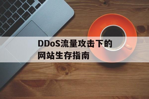 DDoS流量攻击下的网站生存指南 DDoS流量攻击下的网站生存指南