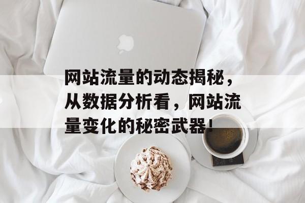 网站流量的动态揭秘,从数据分析看,网站流量变化的秘密武器! 网站流量的动态揭秘,从数据分析看,网站流量变化的秘密武器!