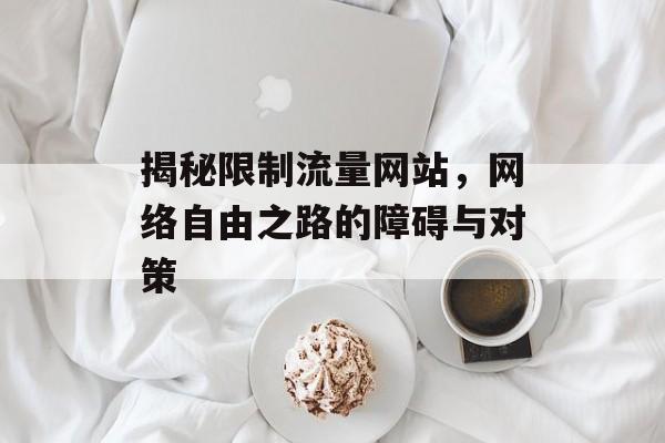 揭秘限制流量网站,网络自由之路的障碍与对策 揭秘限制流量网站,网络自由之路的障碍与对策