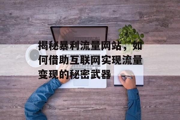 揭秘暴利流量网站,如何借助互联网实现流量变现的秘密武器 揭秘暴利流量网站,如何借助互联网实现流量变现的秘密武器