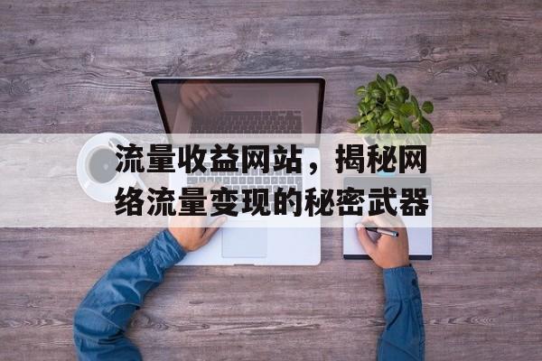 流量收益网站,揭秘网络流量变现的秘密武器 流量收益网站,揭秘网络流量变现的秘密武器