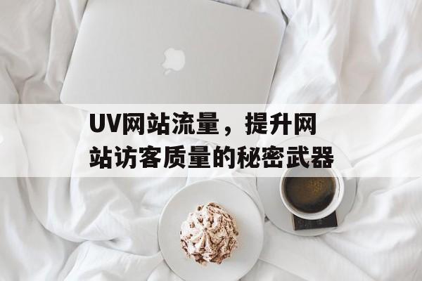 UV网站流量,提升网站访客质量的秘密武器 UV网站流量,提升网站访客质量的秘密武器