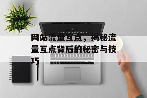 网站流量互点,揭秘流量互点背后的秘密与技巧 网站流量互点,揭秘流量互点背后的秘密与技巧