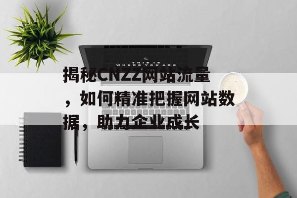 揭秘CNZZ网站流量，如何精准把握网站数据，助力企业成长