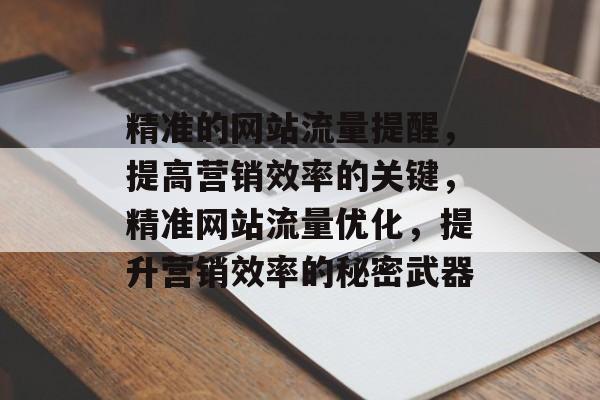 精准的网站流量提醒，提高营销效率的关键，精准网站流量优化，提升营销效率的秘密武器