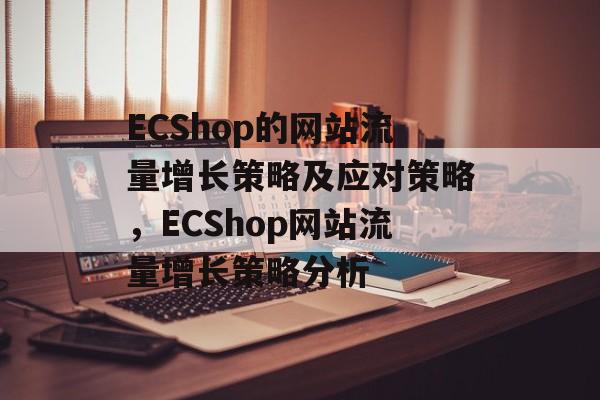 ECShop的网站流量增长策略及应对策略，ECShop网站流量增长策略分析