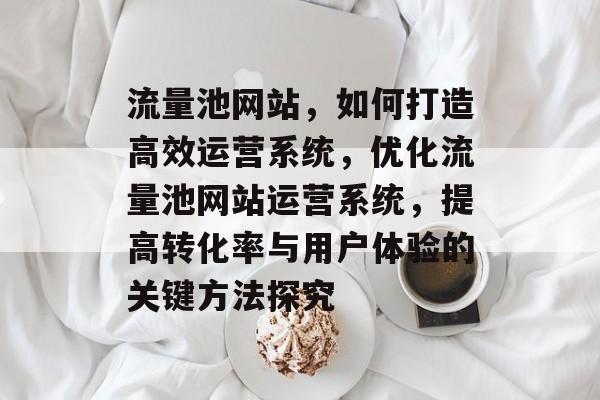 流量池网站,如何打造高效运营系统,优化流量池网站运营系统,提高转化率与用户体验的关键方法探究 流量池网站,如何打造高效运营系统,优化流量池网站运营系统,提高转化率与用户体验的关键方法探究