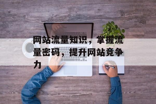 网站流量知识,掌握流量密码,提升网站竞争力 网站流量知识,掌握流量密码,提升网站竞争力