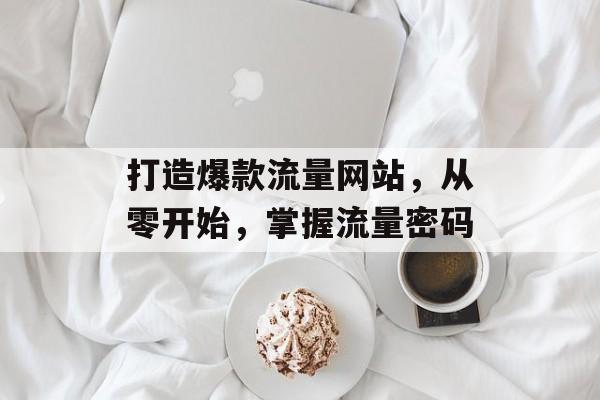 打造爆款流量网站,从零开始,掌握流量密码 打造爆款流量网站,从零开始,掌握流量密码