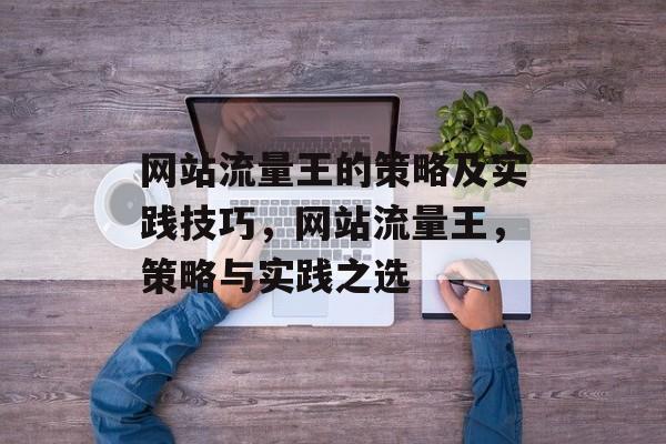 网站流量王的策略及实践技巧,网站流量王,策略与实践之选 网站流量王的策略及实践技巧,网站流量王,策略与实践之选