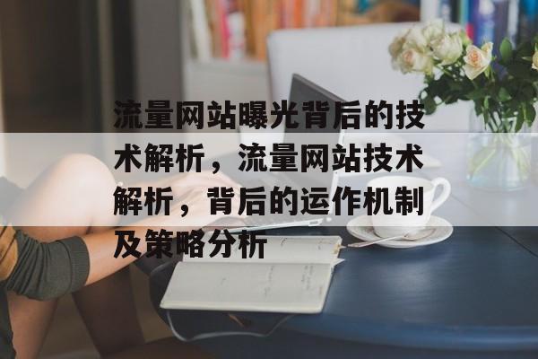 流量网站曝光背后的技术解析,流量网站技术解析,背后的运作机制及策略分析 流量网站曝光背后的技术解析,流量网站技术解析,背后的运作机制及策略分析