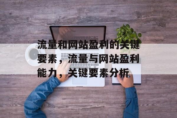 流量和网站盈利的关键要素,流量与网站盈利能力,关键要素分析 流量和网站盈利的关键要素,流量与网站盈利能力,关键要素分析