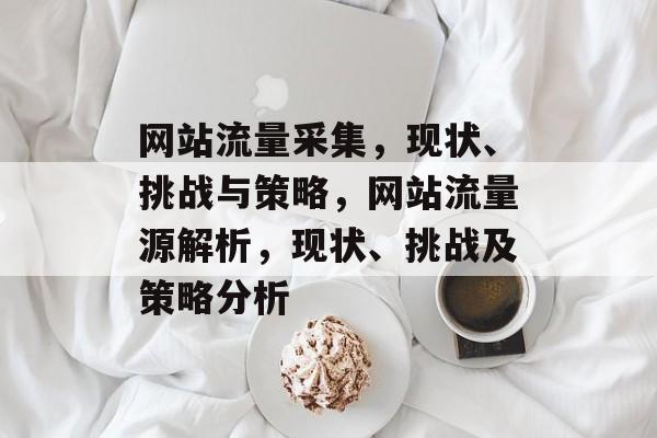 网站流量采集,现状、挑战与策略,网站流量源解析,现状、挑战及策略分析 网站流量采集,现状、挑战与策略,网站流量源解析,现状、挑战及策略分析