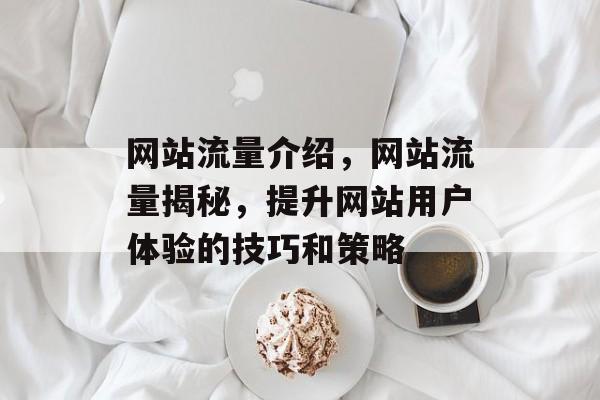 网站流量介绍，网站流量揭秘，提升网站用户体验的技巧和策略