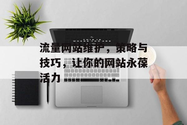 流量网站维护，策略与技巧，让你的网站永葆活力