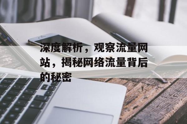 深度解析,观察流量网站,揭秘网络流量背后的秘密 深度解析,观察流量网站,揭秘网络流量背后的秘密