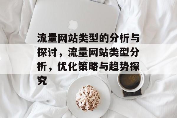 流量网站类型的分析与探讨，流量网站类型分析，优化策略与趋势探究