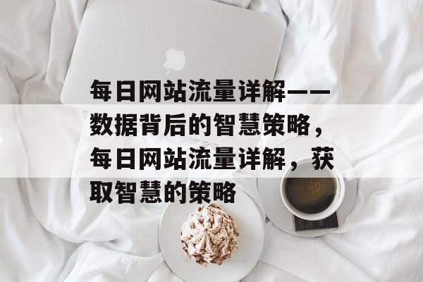 每日网站流量详解——数据背后的智慧策略，每日网站流量详解，获取智慧的策略