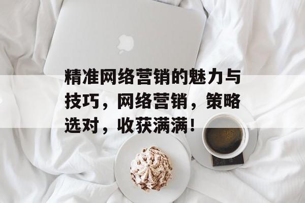 精准网络营销的魅力与技巧,网络营销,策略选对,收获满满! 精准网络营销的魅力与技巧,网络营销,策略选对,收获满满!