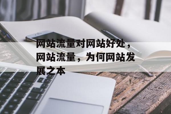 网站流量对网站好处，网站流量，为何网站发展之本