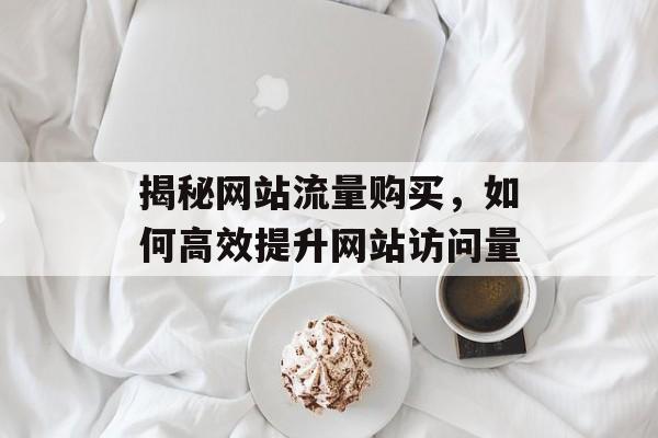 揭秘网站流量购买,如何高效提升网站访问量 揭秘网站流量购买,如何高效提升网站访问量