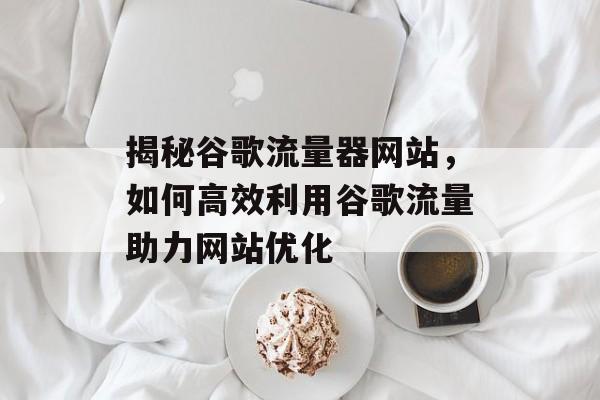 揭秘谷歌流量器网站，如何高效利用谷歌流量助力网站优化