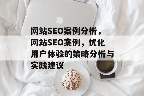 网站SEO案例分析，网站SEO案例，优化用户体验的策略分析与实践建议