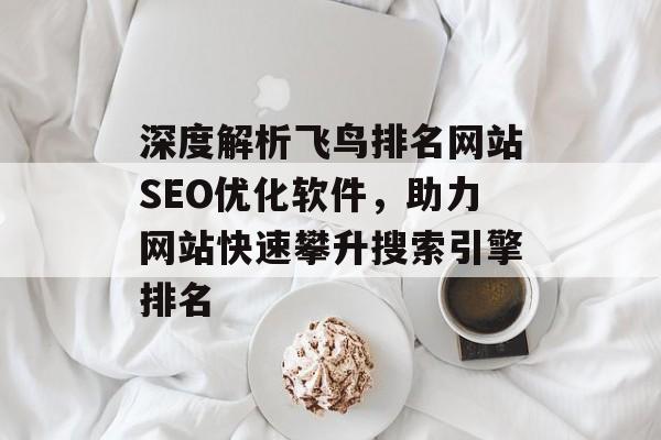 深度解析飞鸟排名网站SEO优化软件，助力网站快速攀升搜索引擎排名