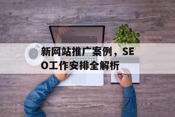 新网站推广案例,SEO工作安排全解析 新网站推广案例,SEO工作安排全解析