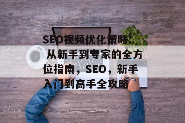 SEO视频优化策略: 从新手到专家的全方位指南，SEO，新手入门到高手全攻略