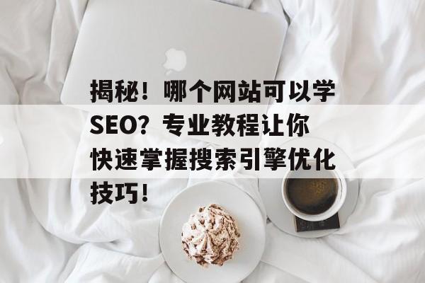 揭秘！哪个网站可以学SEO？专业教程让你快速掌握搜索引擎优化技巧！