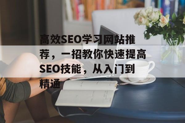 高效SEO学习网站推荐,一招教你快速提高SEO技能,从入门到精通 高效SEO学习网站推荐,一招教你快速提高SEO技能,从入门到精通