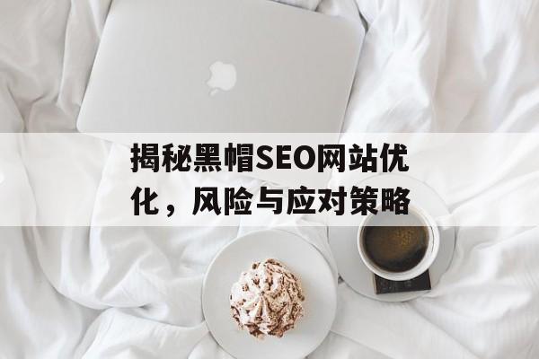 揭秘黑帽SEO网站优化，风险与应对策略