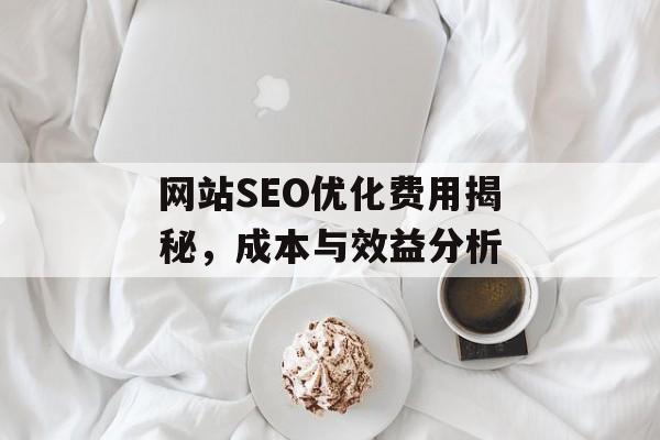网站SEO优化费用揭秘，成本与效益分析