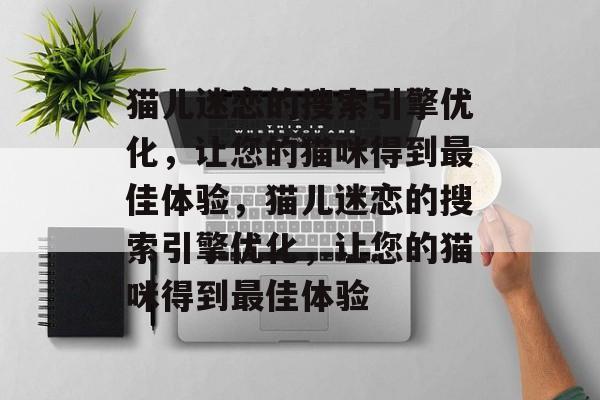 猫儿迷恋的搜索引擎优化，让您的猫咪得到最佳体验，猫儿迷恋的搜索引擎优化，让您的猫咪得到最佳体验