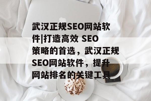 武汉正规SEO网站软件|打造高效 SEO策略的首选，武汉正规SEO网站软件，提升网站排名的关键工具