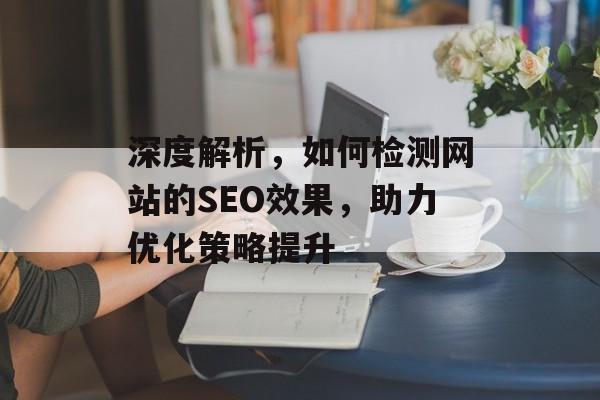 深度解析,如何检测网站的SEO效果,助力优化策略提升 深度解析,如何检测网站的SEO效果,助力优化策略提升
