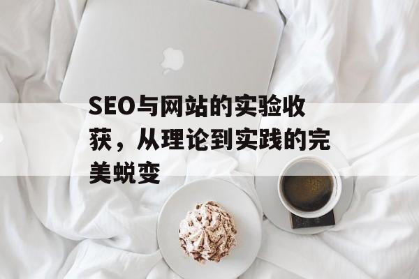 SEO与网站的实验收获，从理论到实践的完美蜕变