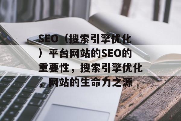 SEO（搜索引擎优化）平台网站的SEO的重要性，搜索引擎优化，网站的生命力之源
