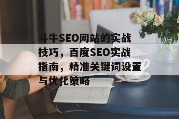 斗牛SEO网站的实战技巧,百度SEO实战指南,精准关键词设置与优化策略 斗牛SEO网站的实战技巧,百度SEO实战指南,精准关键词设置与优化策略