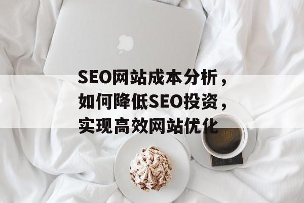 SEO网站成本分析，如何降低SEO投资，实现高效网站优化