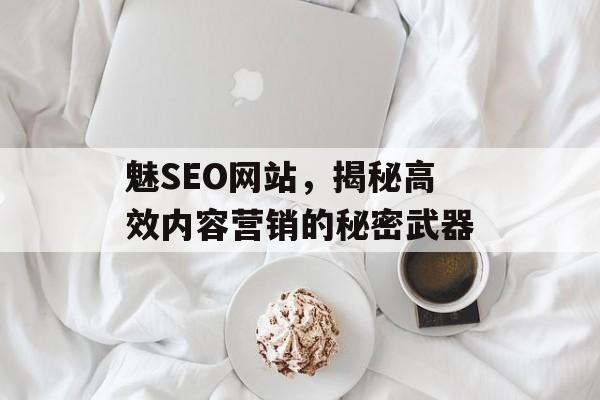 魅SEO网站,揭秘高效内容营销的秘密武器 魅SEO网站,揭秘高效内容营销的秘密武器