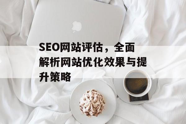 SEO网站评估,全面解析网站优化效果与提升策略 SEO网站评估,全面解析网站优化效果与提升策略
