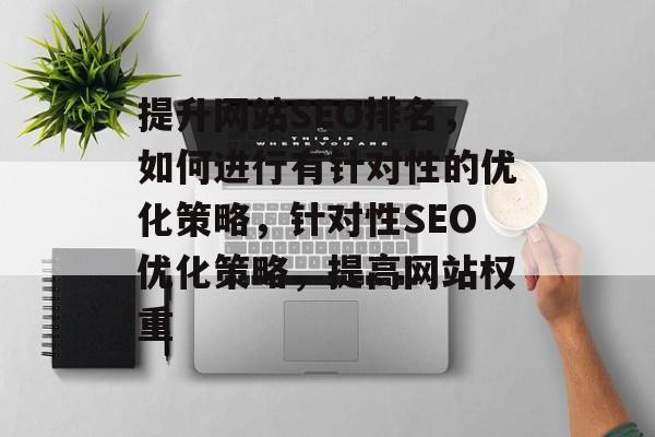提升网站SEO排名,如何进行有针对性的优化策略,针对性SEO优化策略,提高网站权重 提升网站SEO排名,如何进行有针对性的优化策略,针对性SEO优化策略,提高网站权重