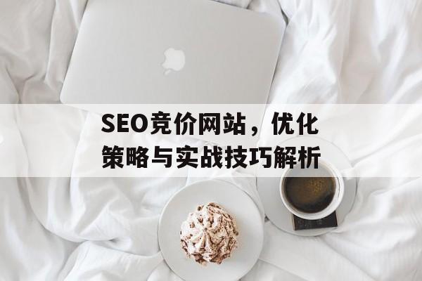 SEO竞价网站,优化策略与实战技巧解析 SEO竞价网站,优化策略与实战技巧解析