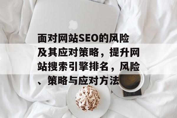 面对网站SEO的风险及其应对策略,提升网站搜索引擎排名,风险、策略与应对方法 面对网站SEO的风险及其应对策略,提升网站搜索引擎排名,风险、策略与应对方法