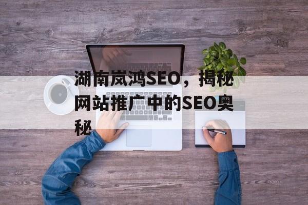 湖南岚鸿SEO,揭秘网站推广中的SEO奥秘 湖南岚鸿SEO,揭秘网站推广中的SEO奥秘